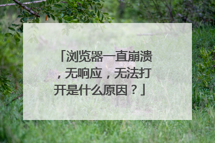 浏览器一直崩溃,无响应,无法打开是什么原因?
