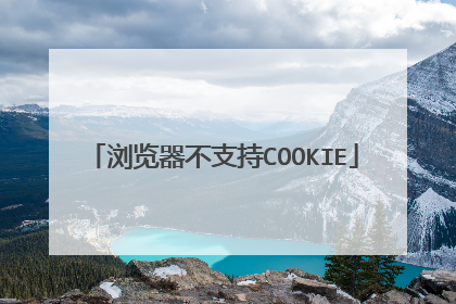 浏览器不支持COOKIE
