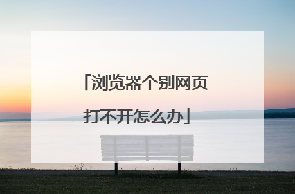 浏览器个别网页打不开怎么办