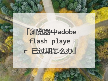 浏览器中adobe flash player 已过期怎么办