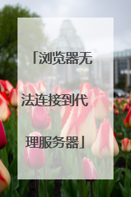 浏览器无法连接到代理服务器