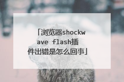 浏览器shockwave flash插件出错是怎么回事