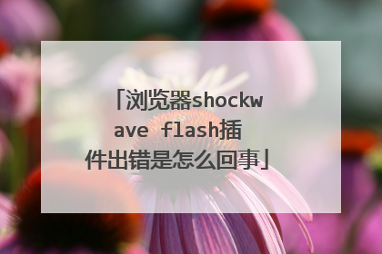 浏览器shockwave flash插件出错是怎么回事