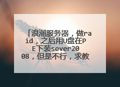 浪潮服务器,做raid,之后用U盘在PE下装sever2008,但是不行,求教。注:没c盘