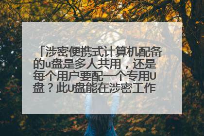 涉密便携式计算机配备的u盘是多人共用，还是每个用户要配一个专用U盘？此U盘能在涉密工作机上使用吗？