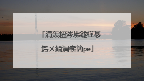 涓轰粈涔坲鐩樺惎鍔ㄨ繘涓嶄簡pe