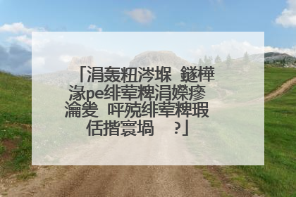 涓轰粈涔堢‖鐩樺湪pe绯荤粺涓嬫瘮瀹夎�呯殑绯荤粺瑕佸揩寰堝��?