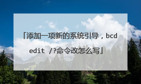 添加一项新的系统引导，bcdedit /?命令改怎么写