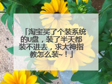 淘宝买了个装系统的U盘,装了半天都装不进去,求大神指教怎么装~!