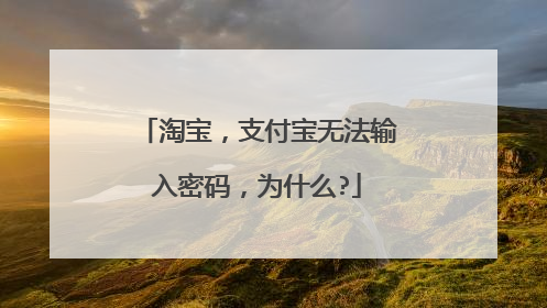 淘宝,支付宝无法输入密码,为什么?