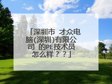 深圳市 才众电脑(深圳)有限公司 的PE技术员怎么样??