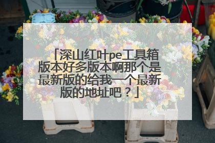 深山红叶pe工具箱版本好多版本啊那个是最新版的给我一个最新版的地址吧?