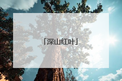 深山红叶