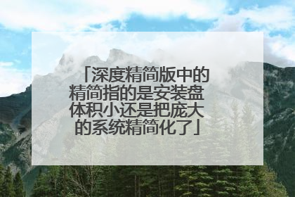 深度精简版中的精简指的是安装盘体积小还是把庞大的系统精简化了