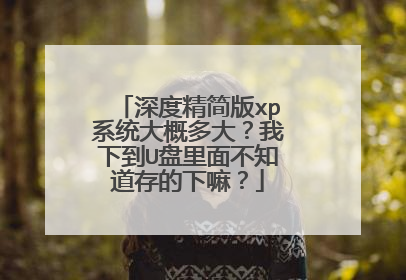 深度精简版xp系统大概多大?我下到U盘里面不知道存的下嘛?