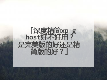 深度精简xp ghost好不好用?是完美版的好还是精简版的好?