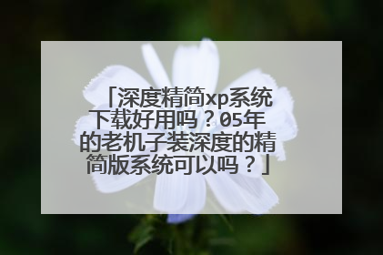 深度精简xp系统下载好用吗?05年的老机子装深度的精简版系统可以吗?