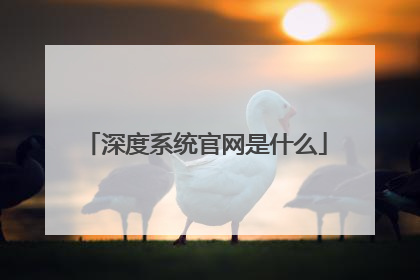 深度系统官网是什么