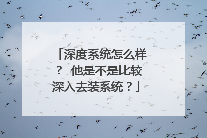 深度系统怎么样? 他是不是比较深入去装系统?