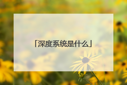 深度系统是什么