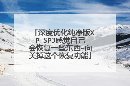 深度优化纯净版XP SP3感觉自己会恢复一些东西~向关掉这个恢复功能