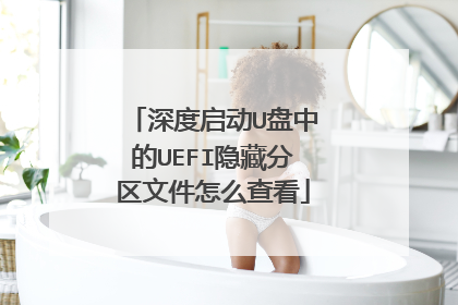 深度启动U盘中的UEFI隐藏分区文件怎么查看