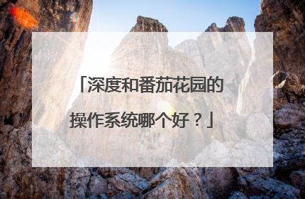 深度和番茄花园的操作系统哪个好？