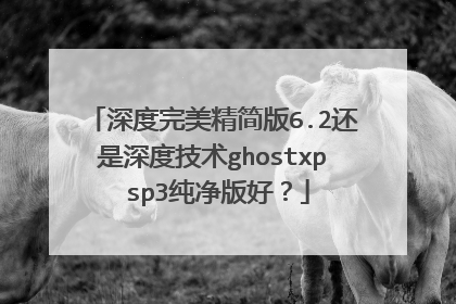 深度完美精简版6.2还是深度技术ghostxp sp3纯净版好?