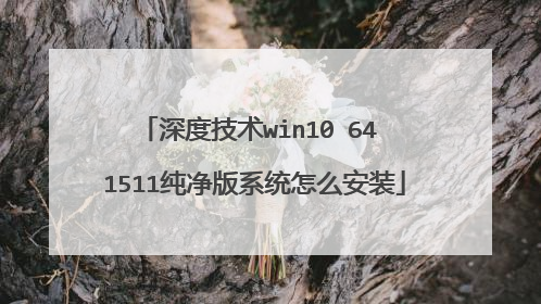 深度技术win10 64 1511纯净版系统怎么安装