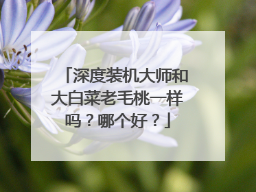 深度装机大师和大白菜老毛桃一样吗?哪个好?
