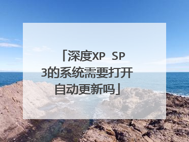 深度XP SP3的系统需要打开自动更新吗