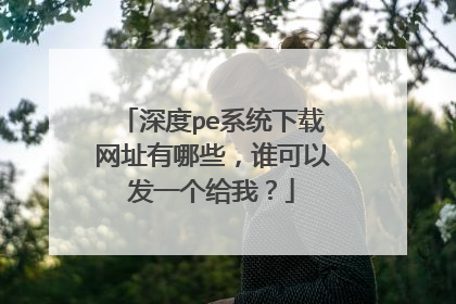 深度pe系统下载网址有哪些，谁可以发一个给我？