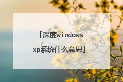 深度windows xp系统什么意思