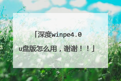 深度winpe4.0 u盘版怎么用，谢谢！！