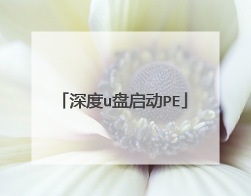 深度u盘启动PE