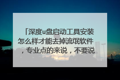深度u盘启动工具安装怎么样才能去掉流氓软件，专业点的来说，不要说我系统不纯净，是pe工具自带哦。淘