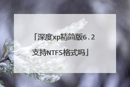 深度xp精简版6.2支持NTFS格式吗