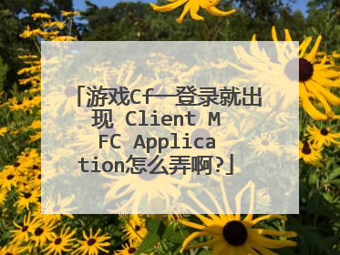 游戏Cf一登录就出现 Client MFC Application怎么弄啊?