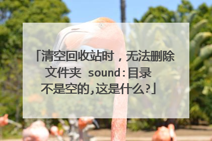 清空回收站时,无法删除文件夹 sound:目录不是空的,这是什么?