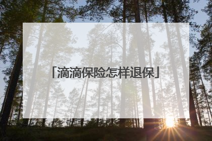 滴滴保险怎样退保