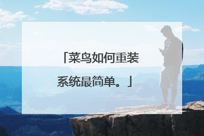 菜鸟如何重装系统最简单。