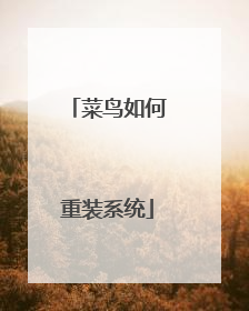 菜鸟如何重装系统