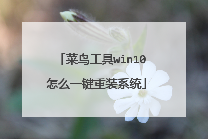 菜鸟工具win10怎么一键重装系统