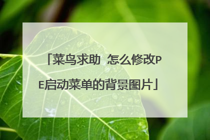 菜鸟求助 怎么修改PE启动菜单的背景图片