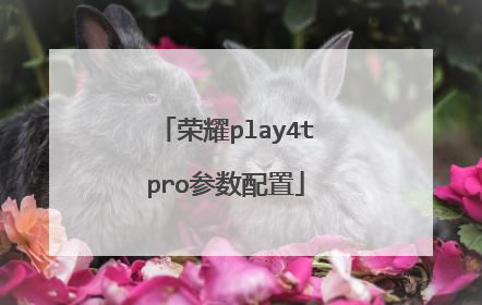 荣耀play4tpro参数配置