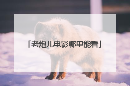 老炮儿电影哪里能看