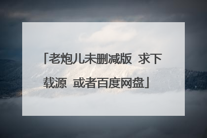 老炮儿未删减版 求下载源 或者百度网盘