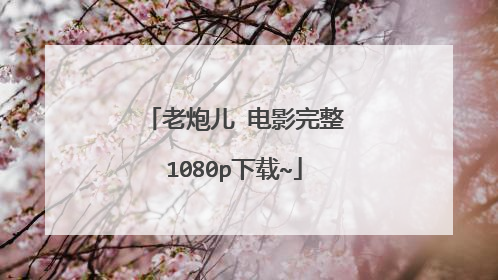 老炮儿 电影完整1080p下载~