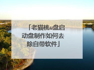 老猫桃u盘启动盘制作如何去除自带软件