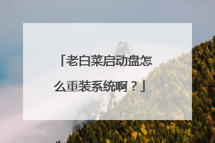 老白菜启动盘怎么重装系统啊?
